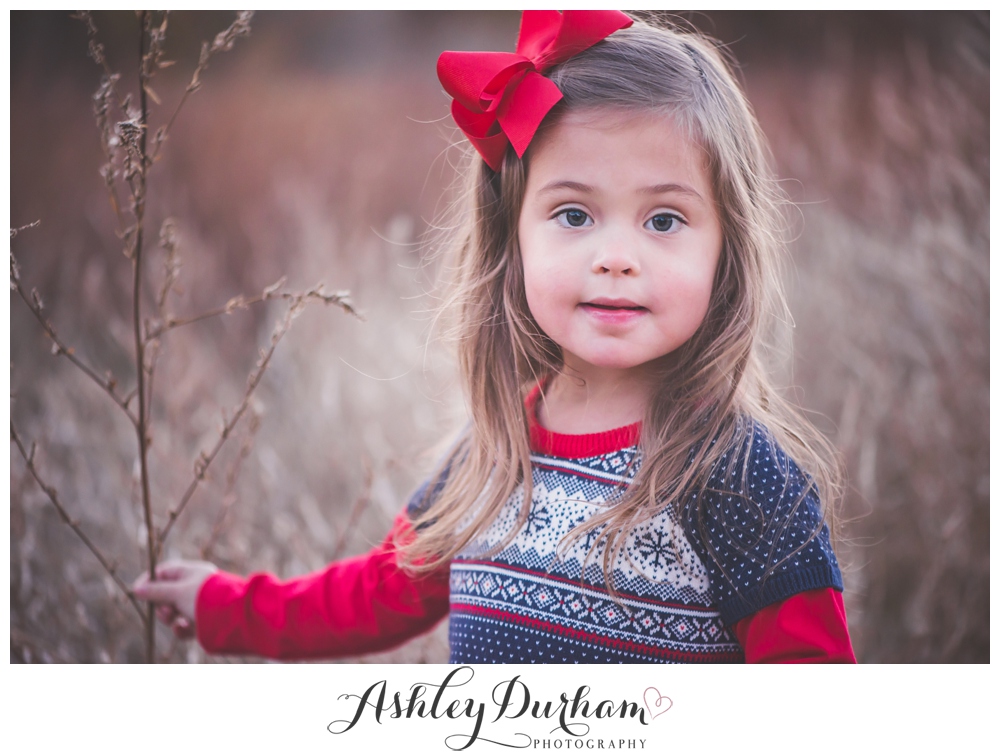 Colorado Springs Family Photographer, Denver Family Photographer