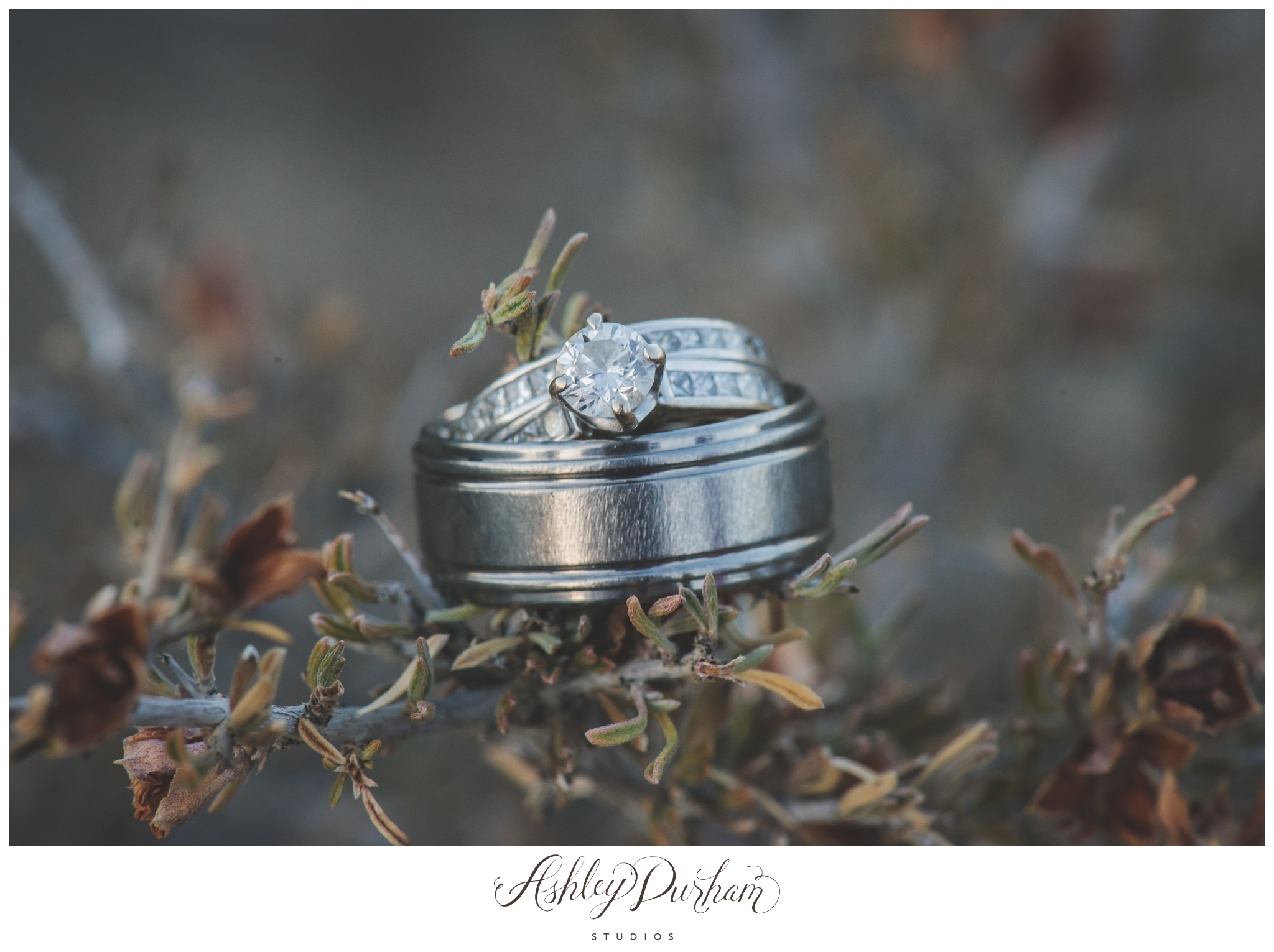 Joshua Tree couples photography, Palm Springs couples photography, 29 palms military photographer, palm springs military photographer