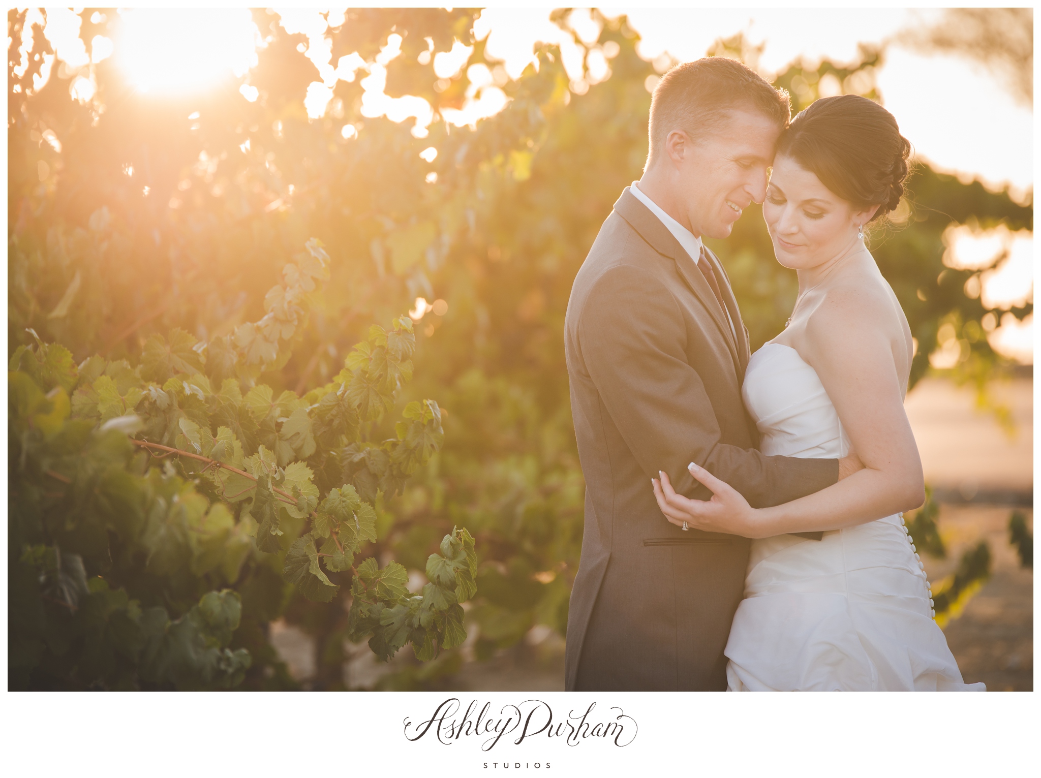 monte de oro weddings, monte de oro vineyard, temecula vineyard wedding, southern california vineyard wedding, palm springs wedding photographer