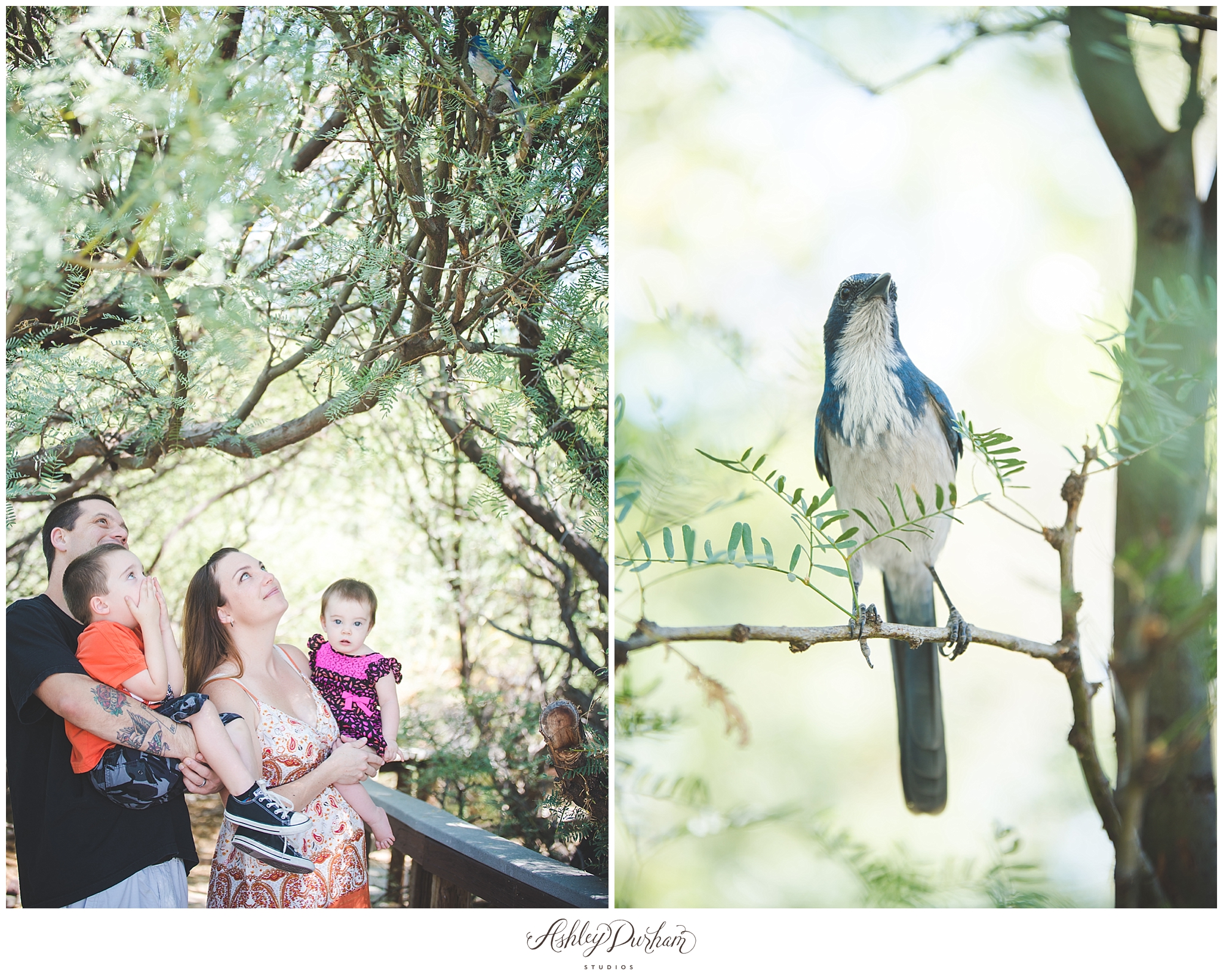 Big Morongo Preserve, 29 Palms Family Photographer, 29 Palms Couples Photographer, Yucca Valley Family Photographer, Yucca Valley couples photographer