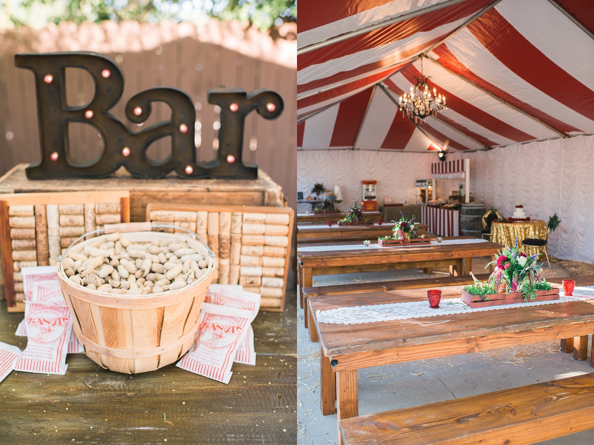 backyard vintage carnival wedding, circus wedding decor, carnival wedding decor, vintage wedding decor, DIY wedding, serve yourself bar at wedding, farmhouse table at wedding