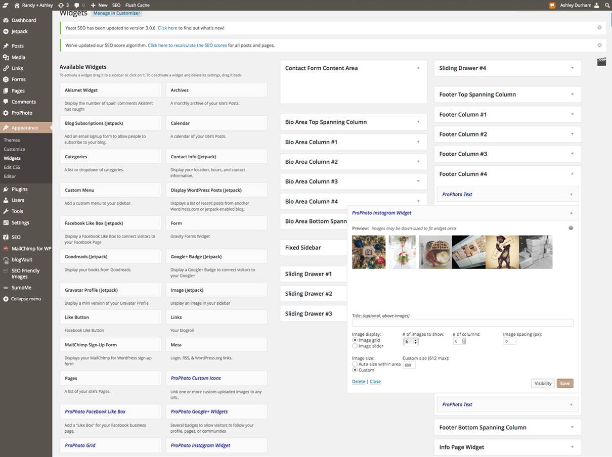 instagram on blogs, instagram widget for blogs, instagram and wordpress