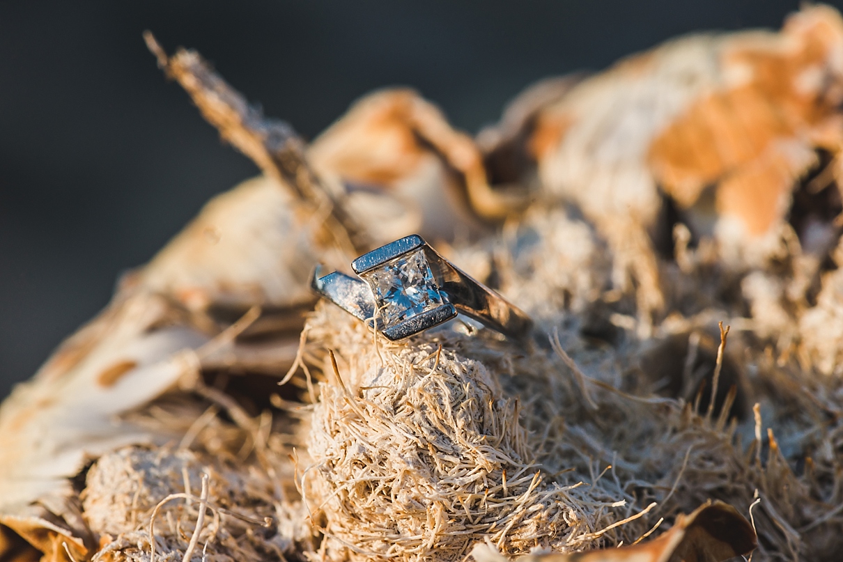 joshua tree engagement session, joshua tree wedding photographer, destination engagement session, desert engagement session