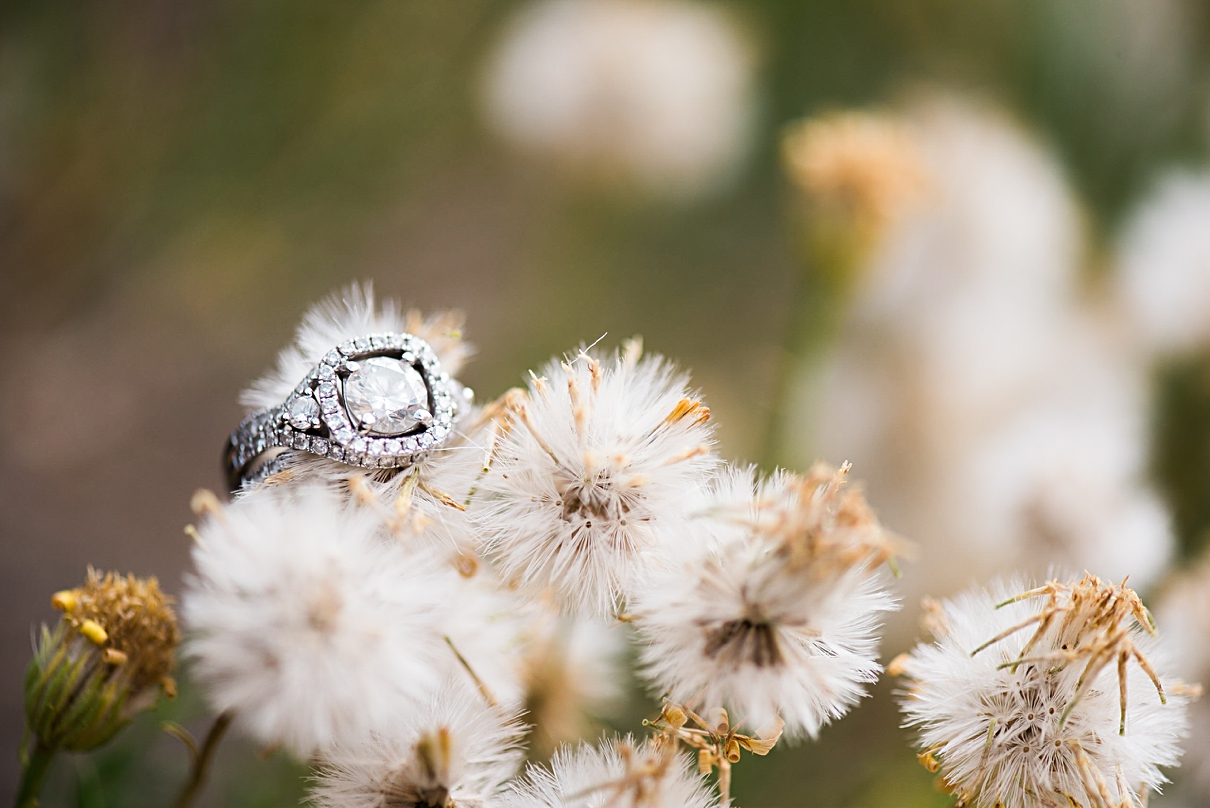 destination Joshua Tree engagement session