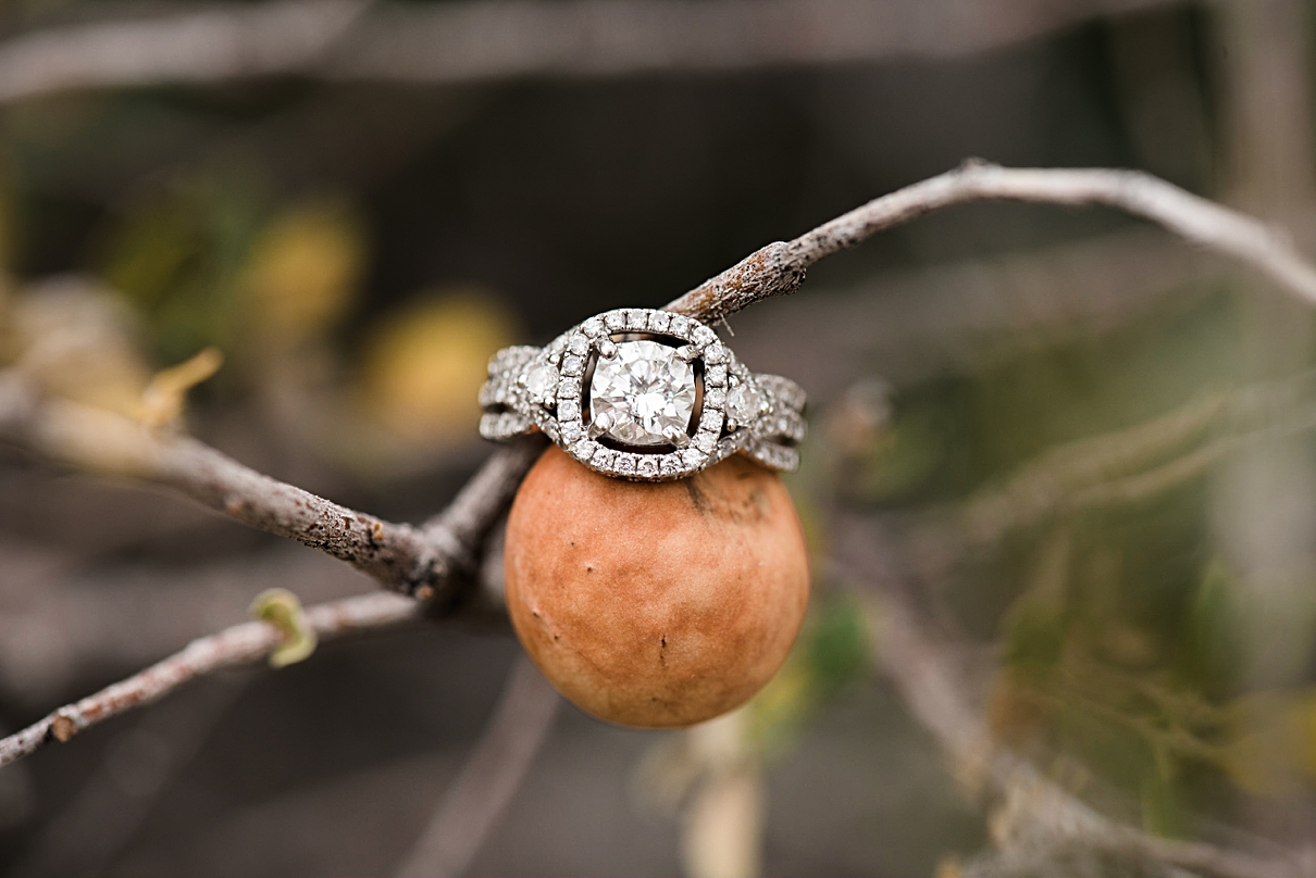 destination Joshua Tree engagement session