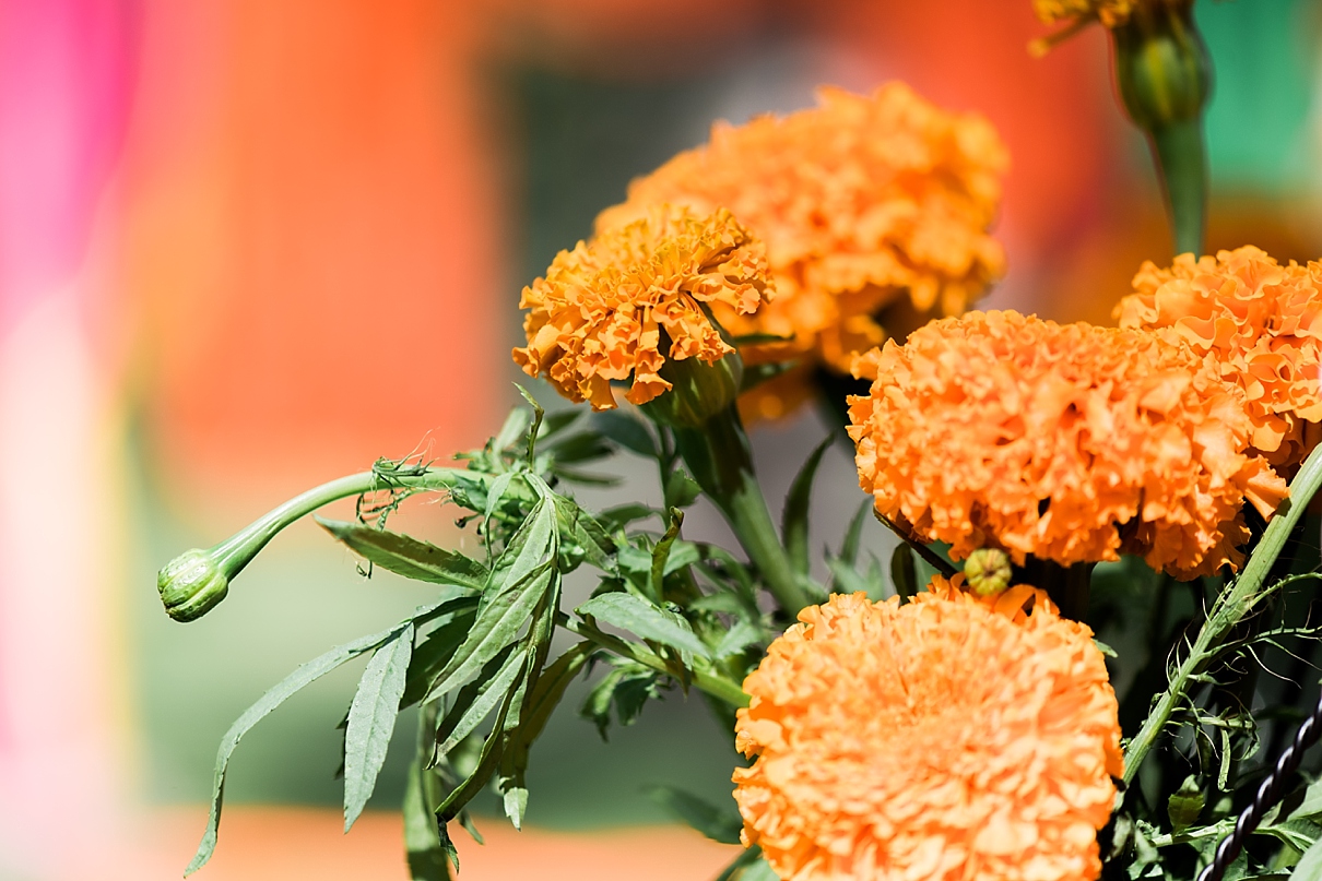 palm springs wedding, la chureya estate wedding, gay indian wedding, gay wedding, same sex wedding, celebrations of joy wedding, randy and ashley, estate wedding