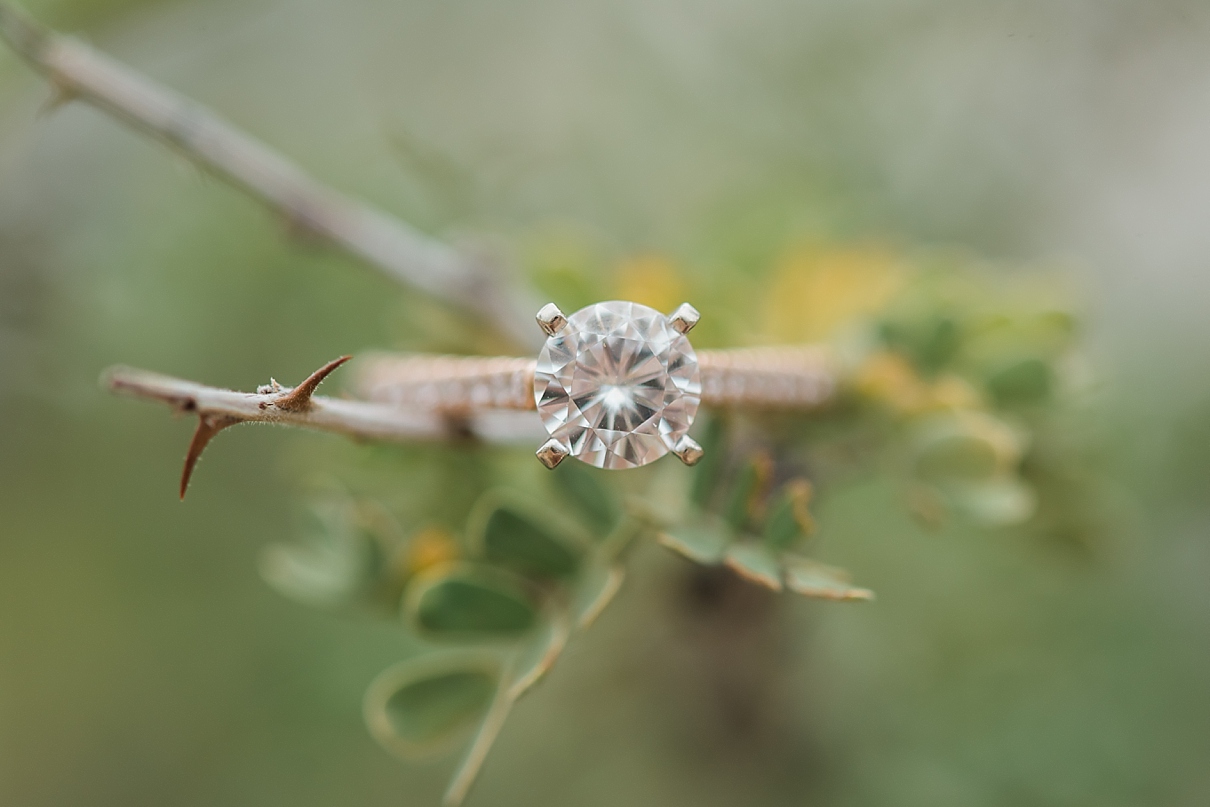 destination engagement photographers, destination engagement photos, joshua tree engagement pictures, joshua tree engagement session, joshua tree wedding photographer, traveling wedding photographers, rad weddings