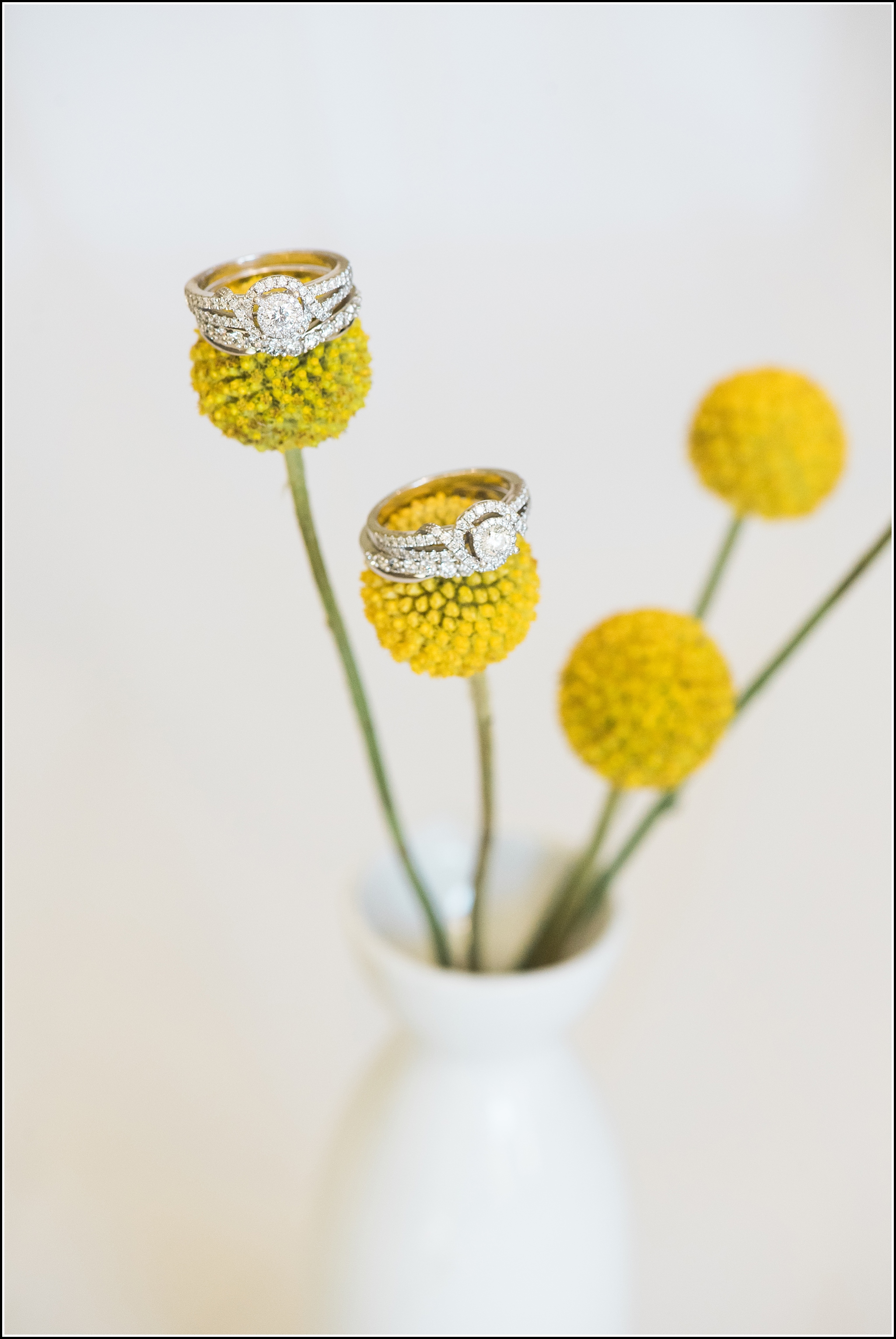  favorite wedding images 2016, wedding photos from 2016, our favorite wedding photos, lesbian wedding rings, billy balls