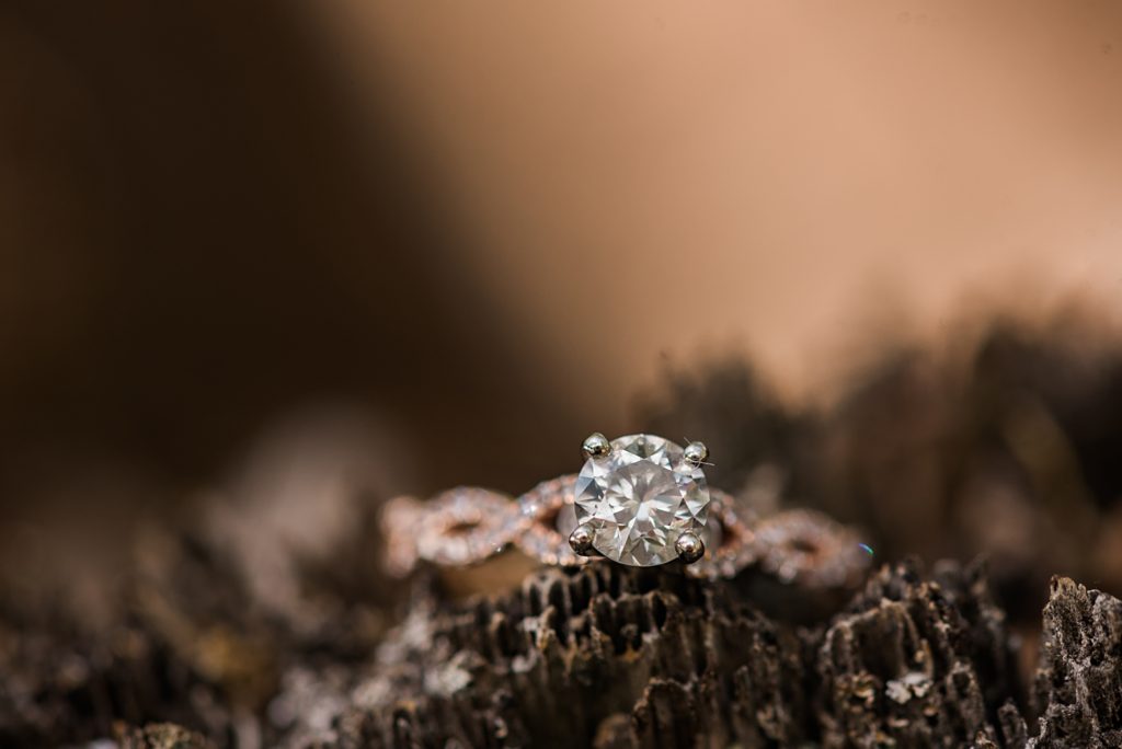 Echo Lake Park Engagement Photos