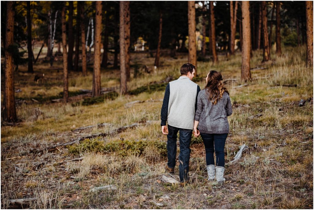 Staunton State Park engagement session