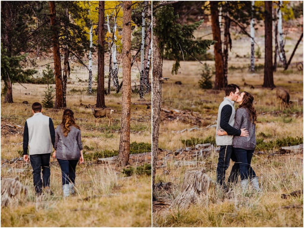 Staunton State Park engagement session