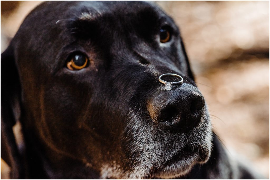 Staunton State Park engagement session