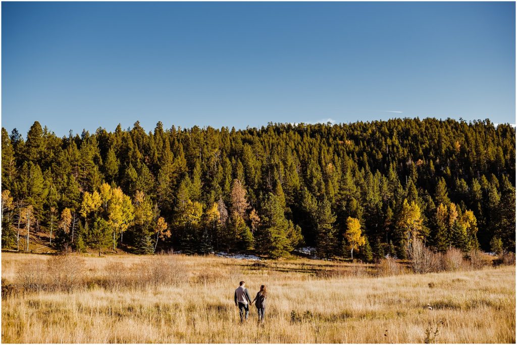 Staunton State Park engagement session