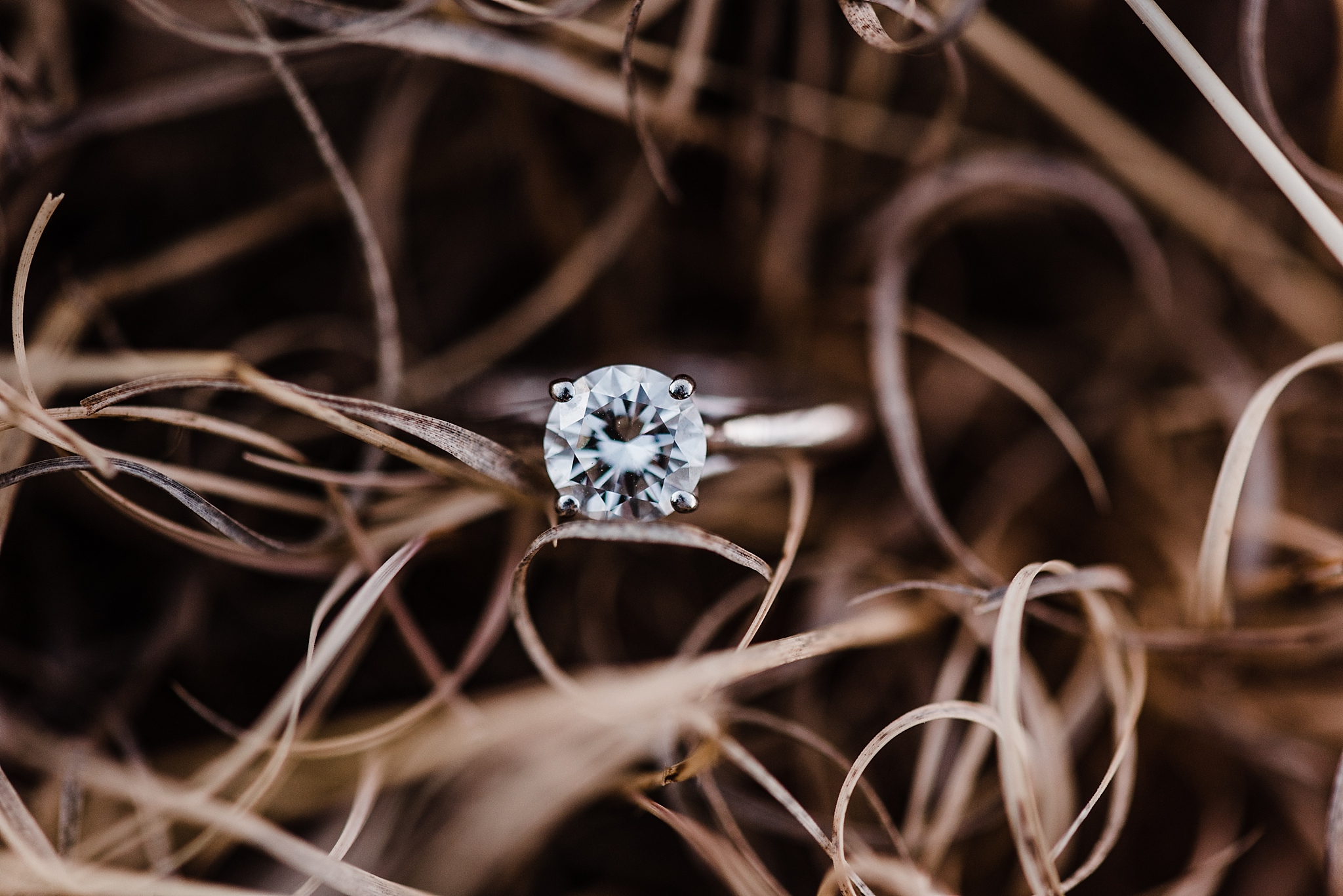 Colorado Springs engagement session at Garden of the Gods