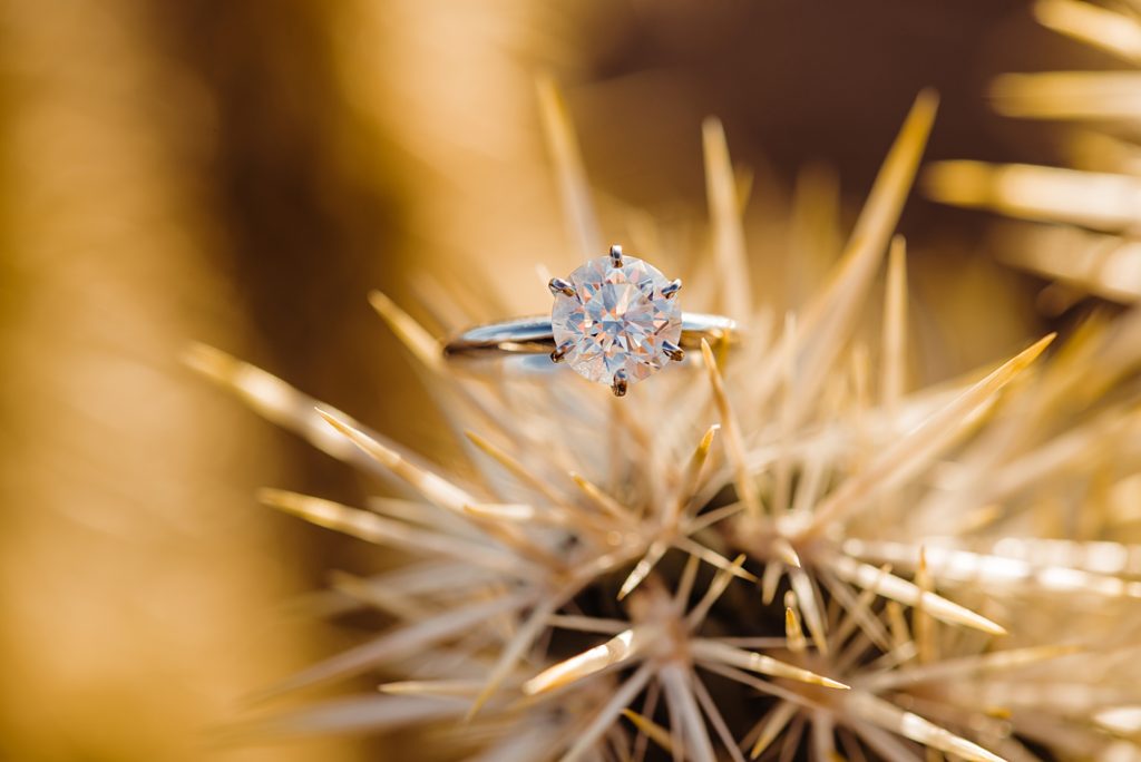 sunrise engagement session in Joshua Tree