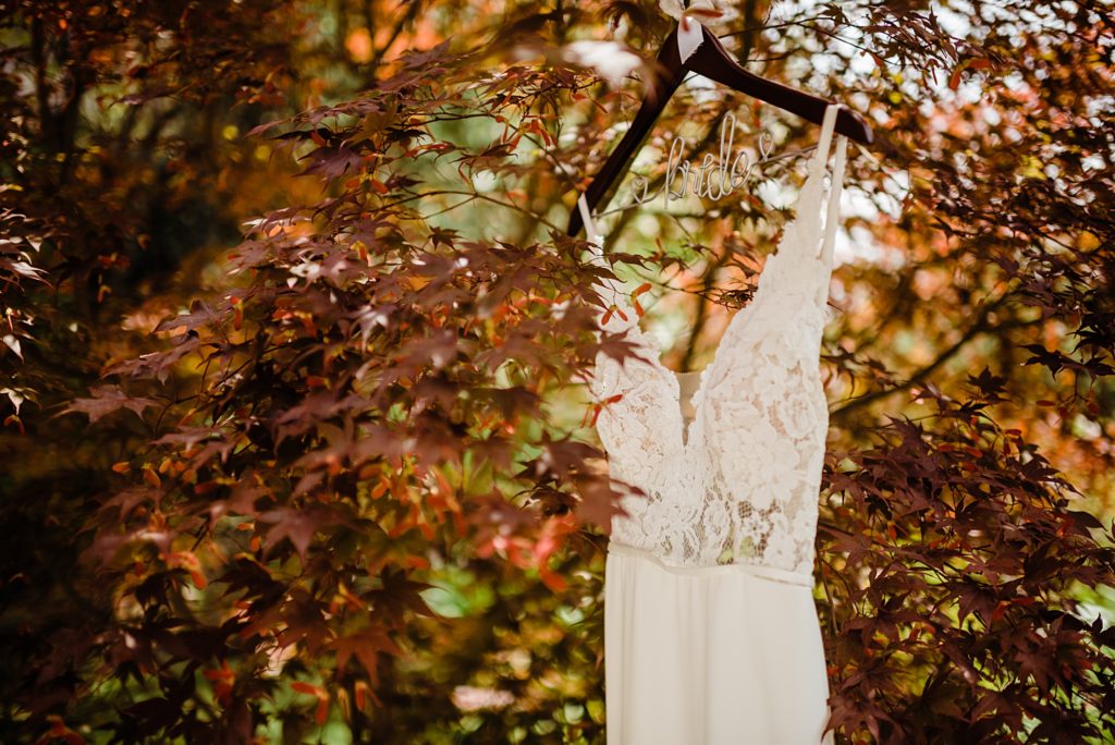 wedding dress in a tree