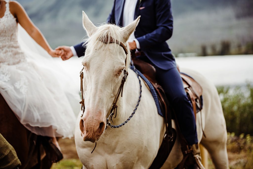trappers lake lodge wedding