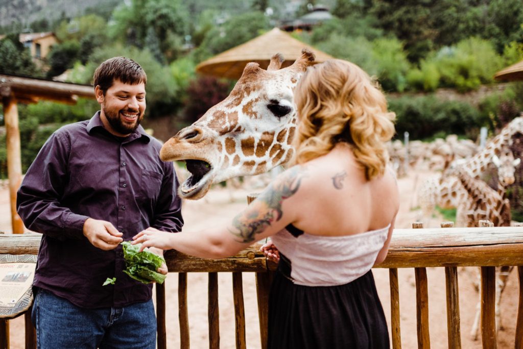 Engagement Session at the Cheyenne Mountain Zoo