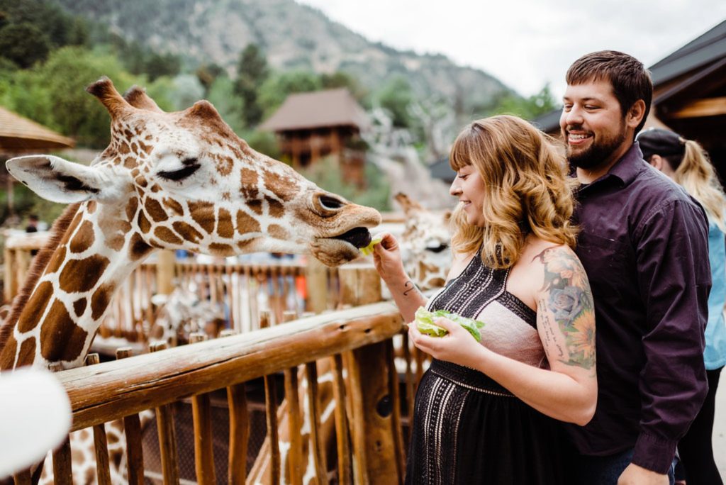 Engagement Session at the Cheyenne Mountain Zoo