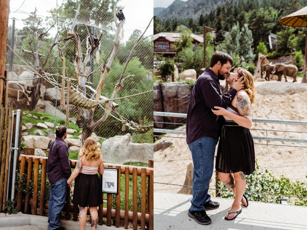 Engagement Session at the Cheyenne Mountain Zoo