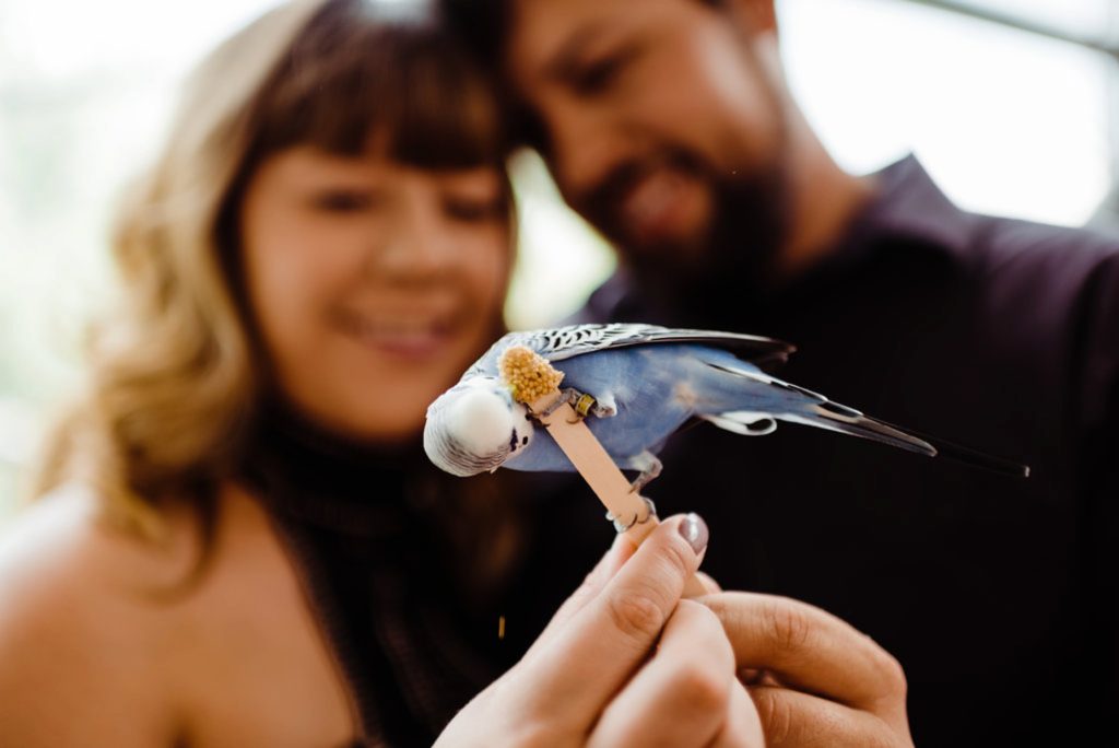 Engagement Session at the Cheyenne Mountain Zoo