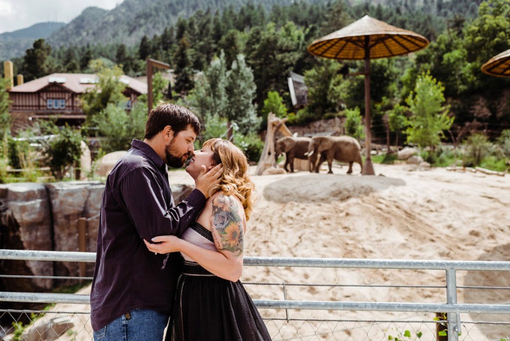 Engagement Session at the Cheyenne Mountain Zoo