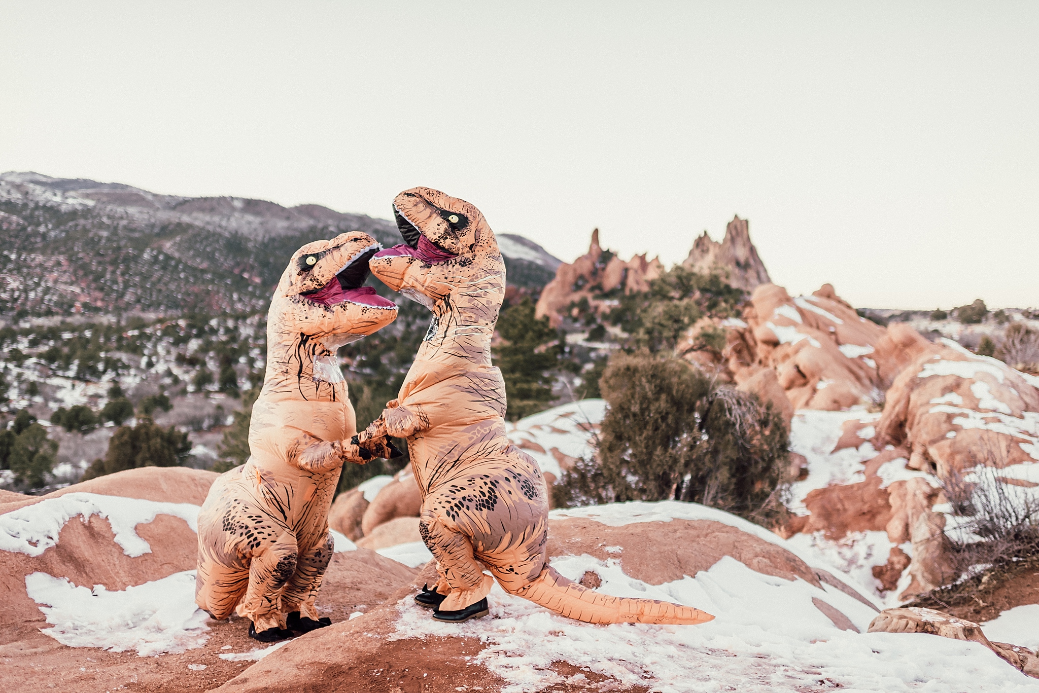 engagement photos in dinosaur costumes