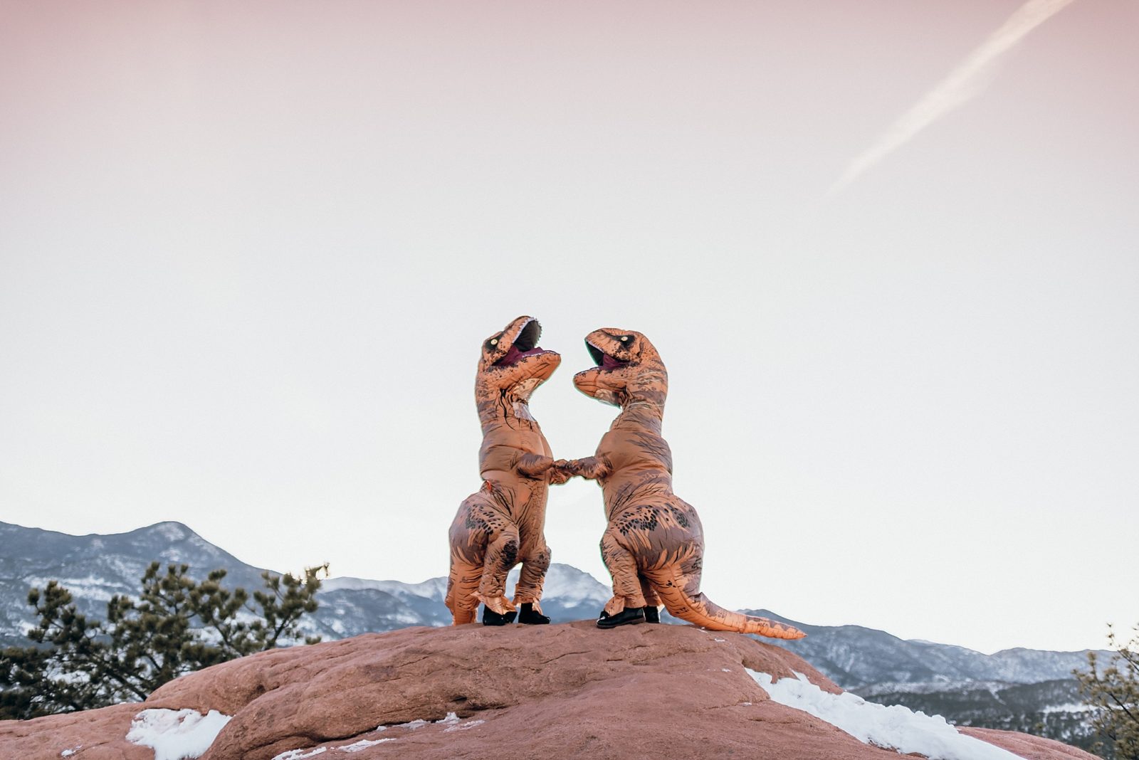 Engagement Session with Dinosaur Costumes