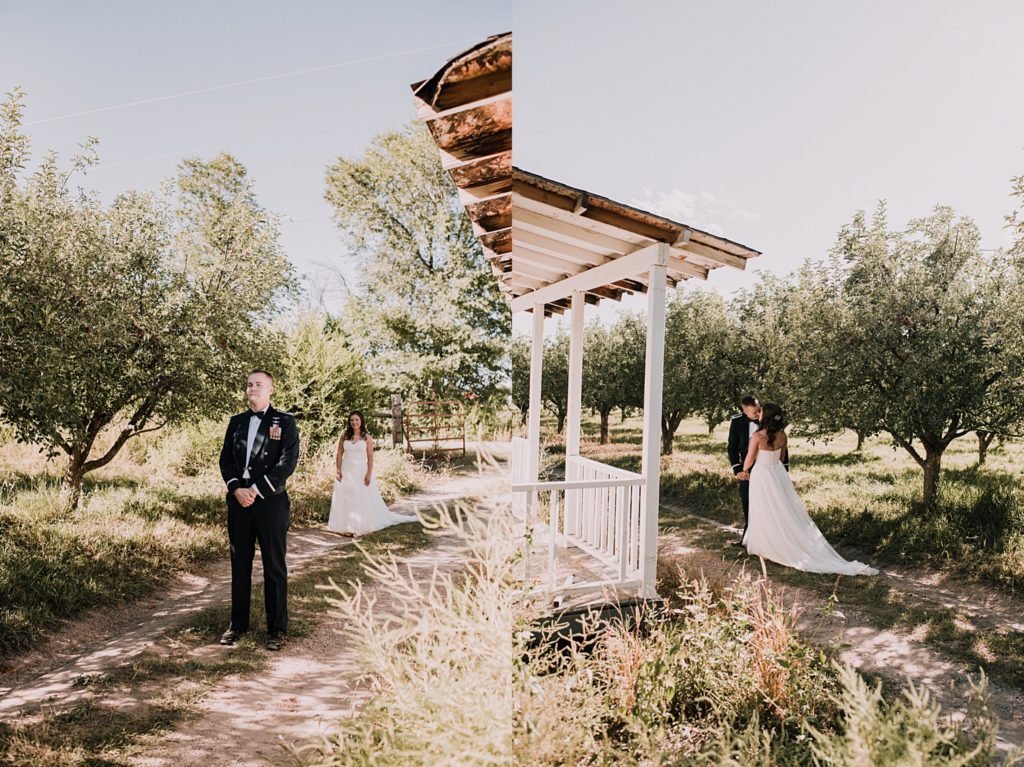 wedding day first look at an apple orchard