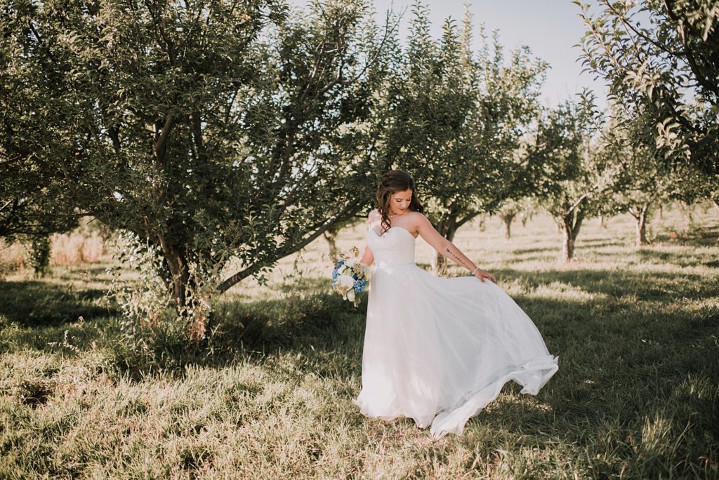 bride twirling in an apple orchard