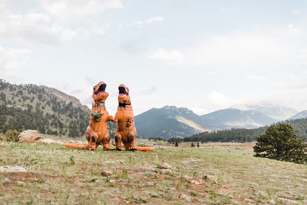 bride and groom dressed up like dinosaurs for wedding