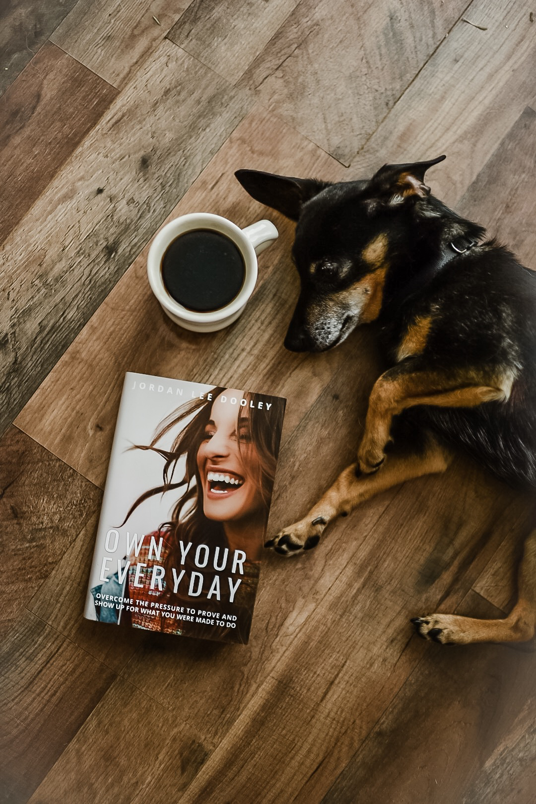 review of own your everyday by jordan lee dooley