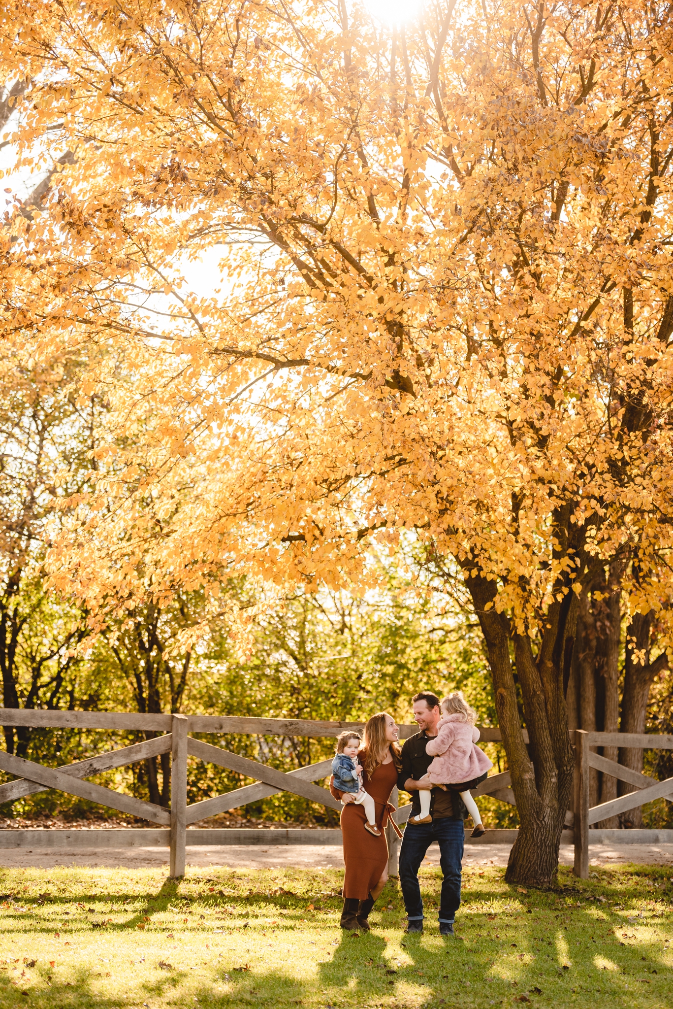wauconda illinois family photographer