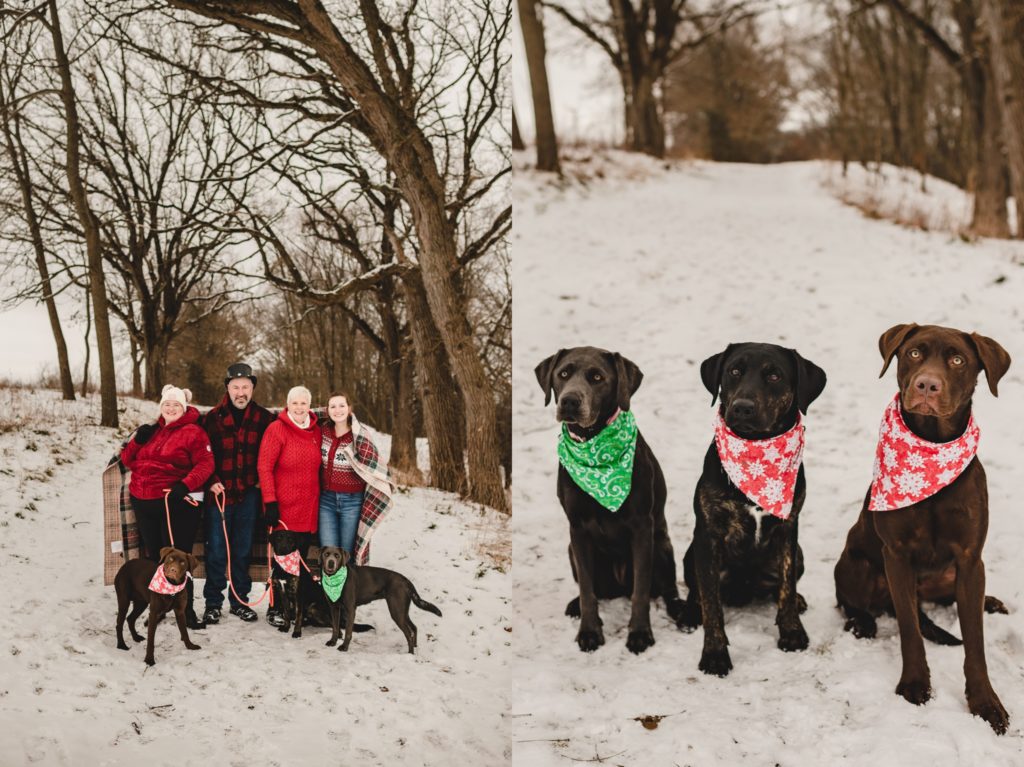 christmasy family photos with dogs