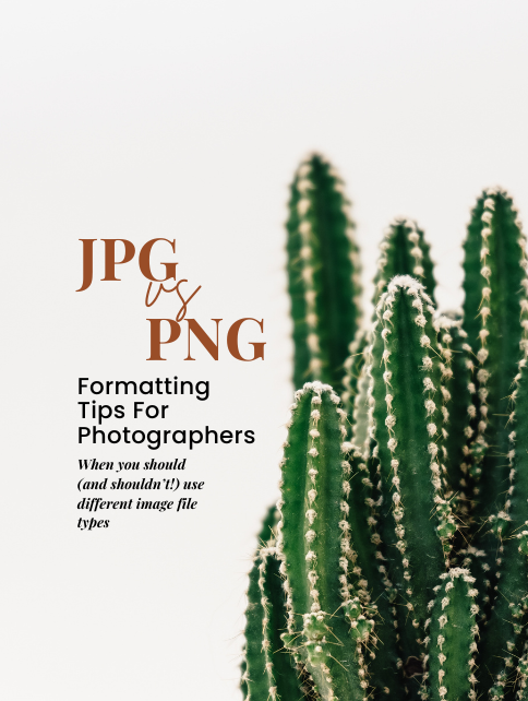 JPG vs PNG