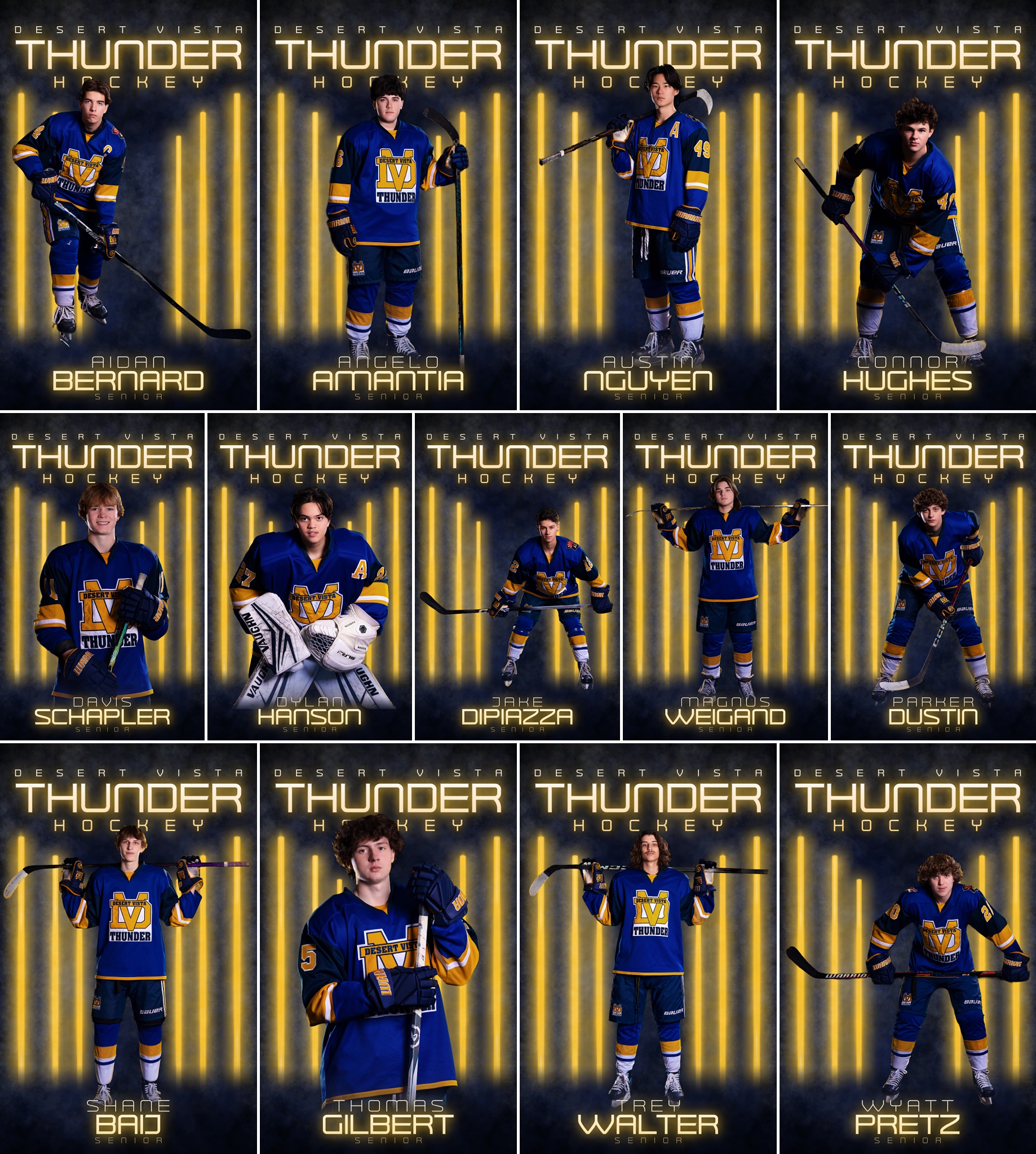 High school hockey senior banners for Desert Vista at Ice Den Scottsdale from Phoenix media day
